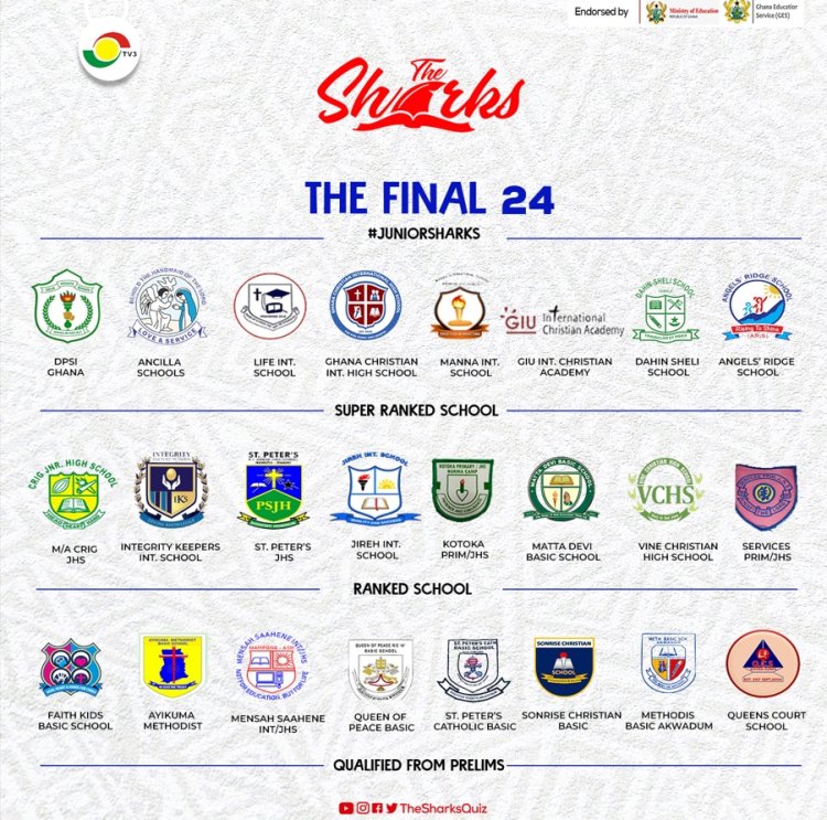 Exclusive! Check out the 8 schools that made it to the national finals of Junior Sharks 8